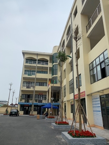 Tổ chức tết trồng cây đời đời nhớ ơn Bác Hồ nhân dịp xuân Tân Sửu 2021