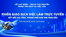 NHU CẦU TUYỂN DỤNG CỦA CÁC ĐƠN VỊ, DOANH NGHIỆP TẠI TUẦN CAO ĐIỂM KẾT NỐI CUNG - CẦU LAO ĐỘNG TỈNH THÁI NGUYÊN NĂM 2023